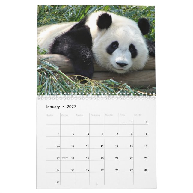 Calendário dos ursos (Jan 2027)