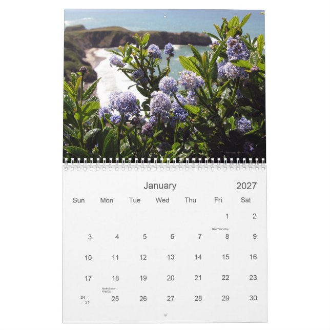 Calendário dos Vistas 2012 do Wildflower (Jan 2027)
