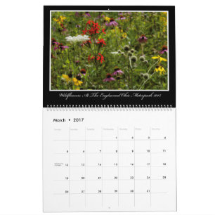 Calendário dos Wildflowers 2017 por Thomas