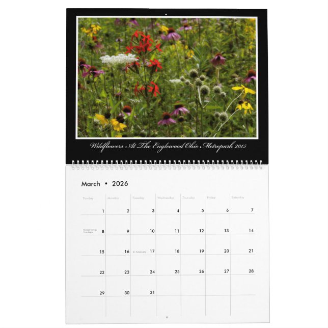 Calendário dos Wildflowers 2017 por Thomas (Mar 2026)