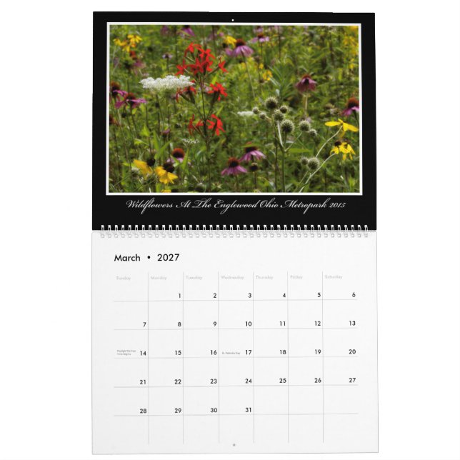 Calendário dos Wildflowers 2017 por Thomas (Mar 2027)