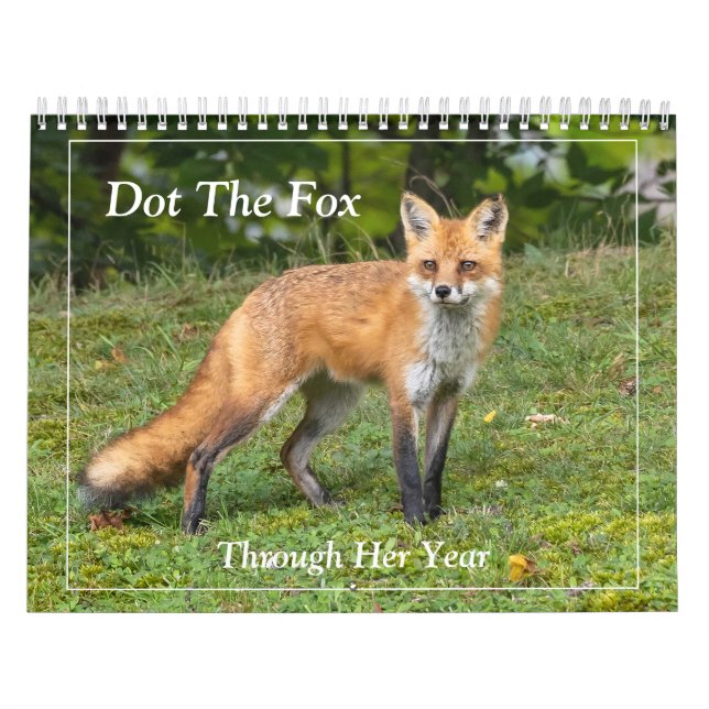 Calendário Dot The Fox (Capa)