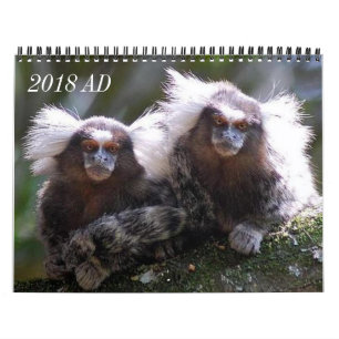 Calendário Doze macacos