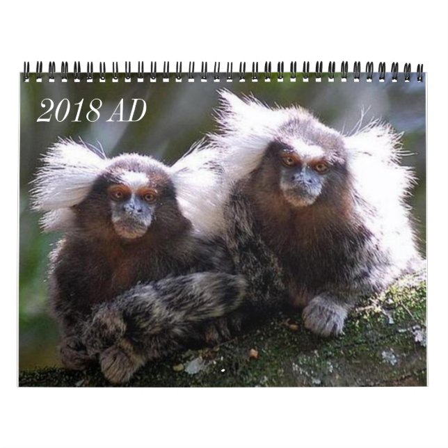 Calendário Doze macacos (Capa)