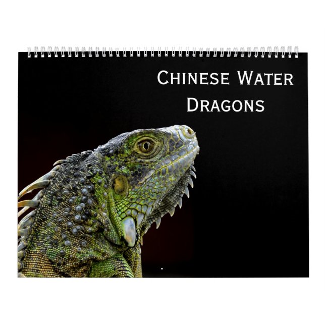 Calendário Dragões de água chineses (Capa)