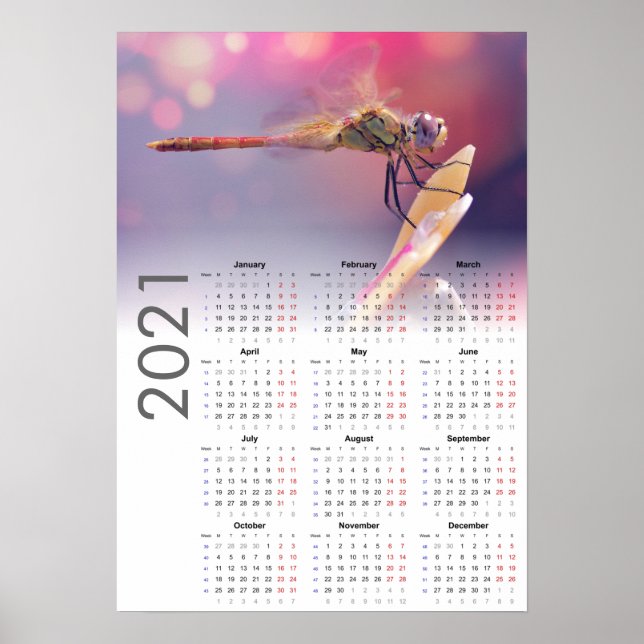 Calendário Dragonfly 2021 Poster - Início de segun (Frente)