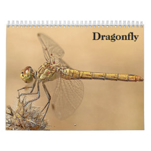 Calendário Dragonfly 2025