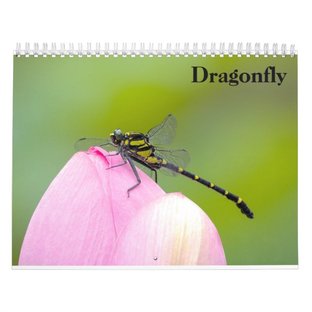 Calendário Dragonfly 2025 (Capa)