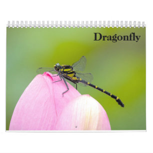 Calendário Dragonfly 2025