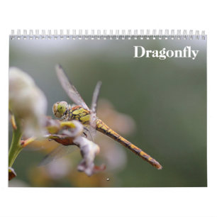 Calendário Dragonfly 2025