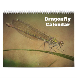 Calendário Dragonfly 2025