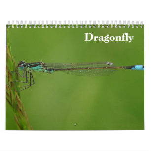 Calendário Dragonfly 2027