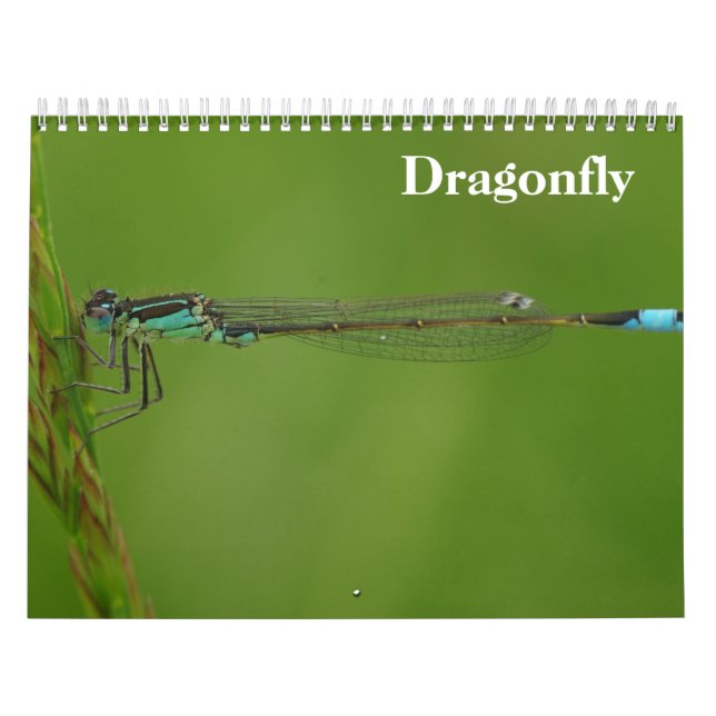 Calendário Dragonfly 2027 (Capa)