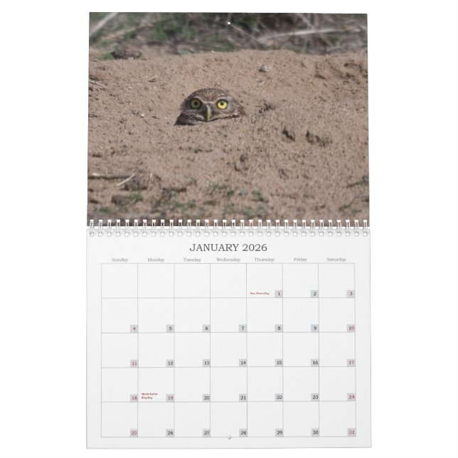 CALENDÁRIO DSC_2816, 2011 (Jan 2026)