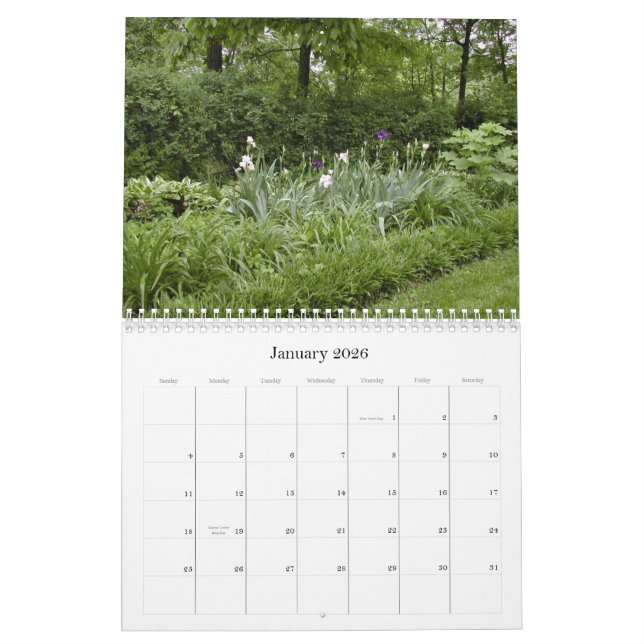 Calendário DSCN0845, o jardim do tintureiro (Jan 2026)