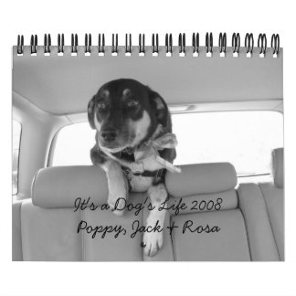 Calendário É a vida 2008 de um cão