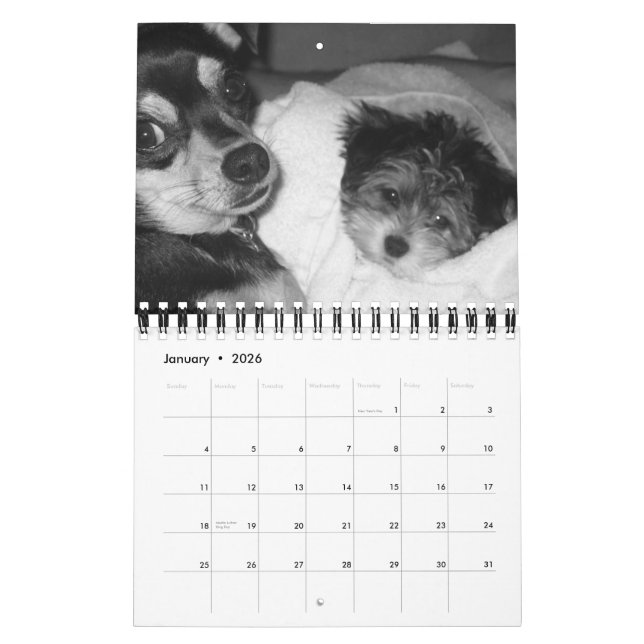 Calendário É a vida 2008 de um cão (Jan 2026)