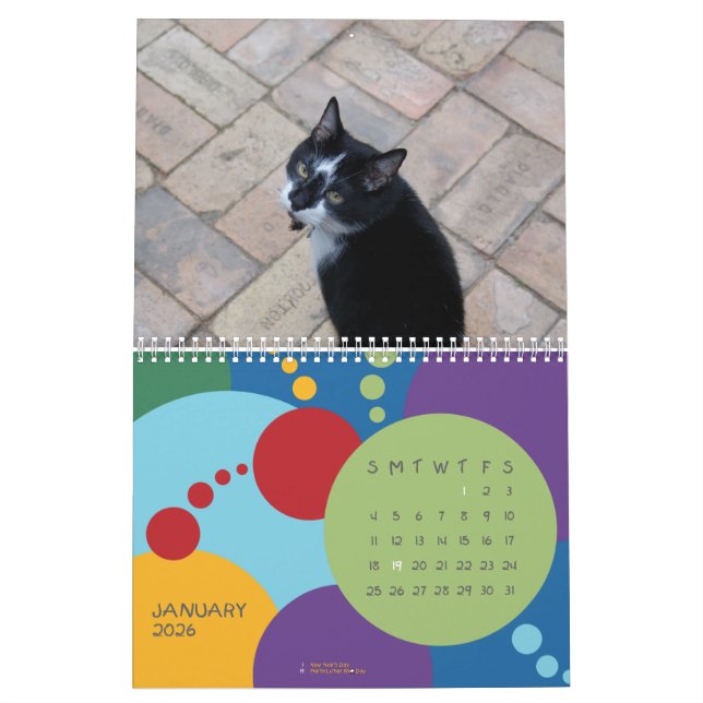 Calendário É MEU aniversário, SUCKAS!!! (Jan 2026)