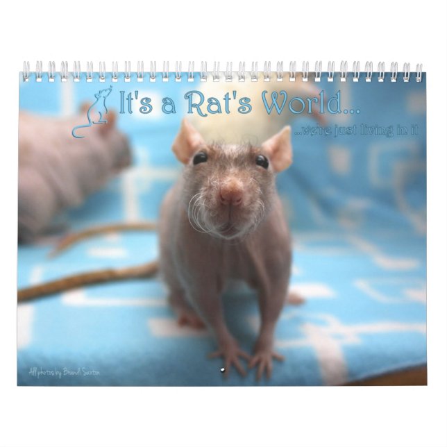 Calendário É um Rat World Calendar 2016 (Capa)
