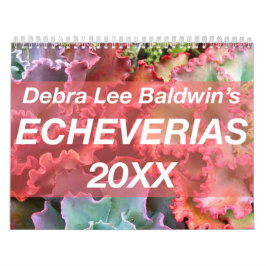 Calendário Echeverias 20XX de Debra Lee Baldwin