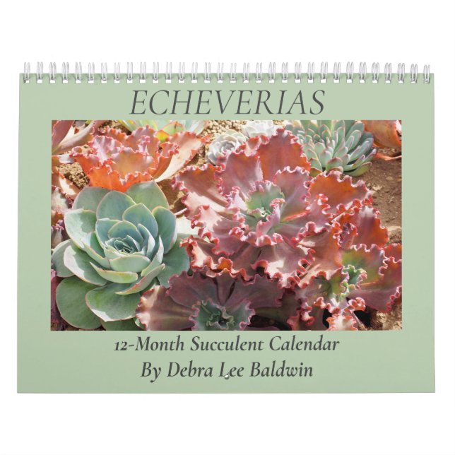 Calendário Echeverias: Suculentos por Debra Lee Baldwin (Capa)