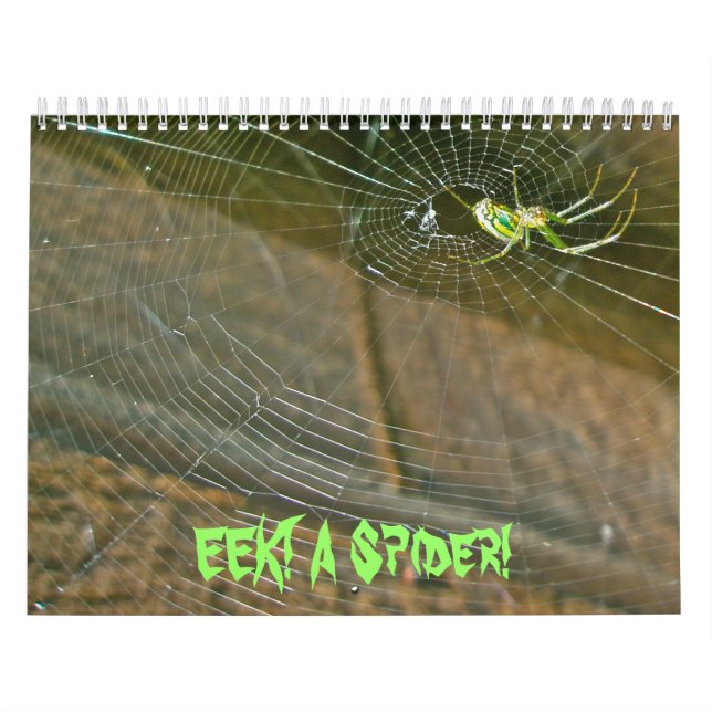 Calendário - EEK! Uma Aranha! (Capa)