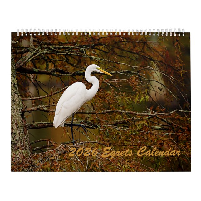 Calendário Egrets 2025 (Capa)
