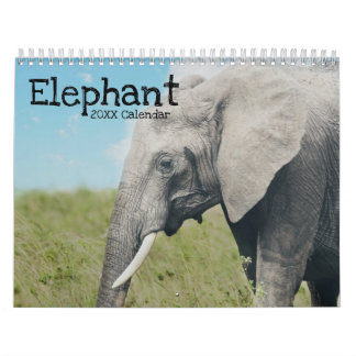 Calendário Elefante