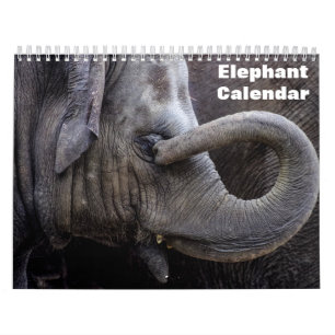 Calendário Elefante 2026