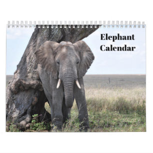 Calendário Elefante 2026