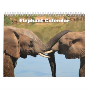 Calendário Elefante 2027