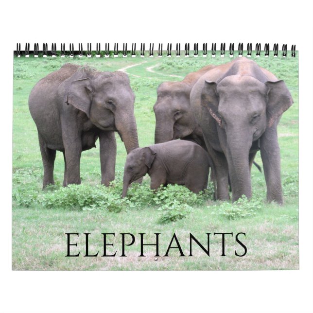 Calendário elefantes 2027 (Capa)