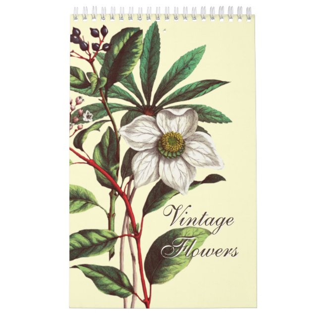 Calendário Elegant Vintage Botanical Flower Illustrations  (Capa)