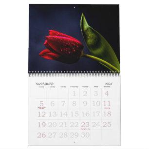 Calendário Elegantes Flores Florais de Tulipa e Rosa Fotograf