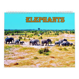 Calendário  elephants