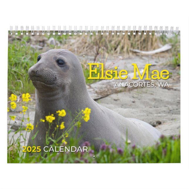 CALENDÁRIO ELSIE MAE 2025 - TUGBOAT PARK - SKYLINE ANACORTES (Capa)