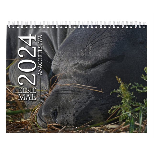 Calendário Elsie Mae Calendar (Capa)