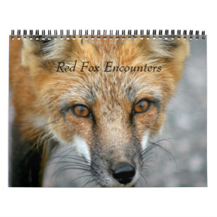Calendário Encontros do Fox vermelho