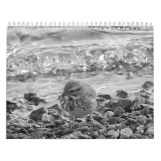Calendario engodo fotos de pájaros en blanco o