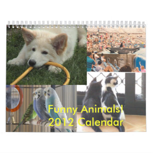 Calendário engraçado dos animais 2012