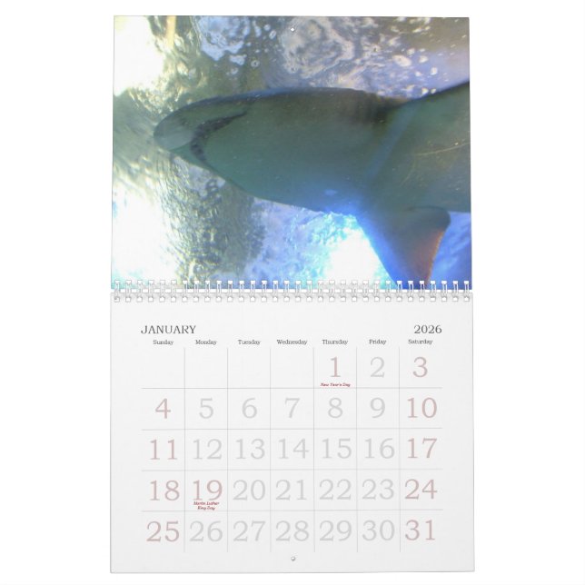 Calendário engraçado dos animais 2012 (Jan 2026)