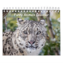 Calendário Engraçado para Animais