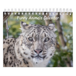 Calendário Engraçado para Animais