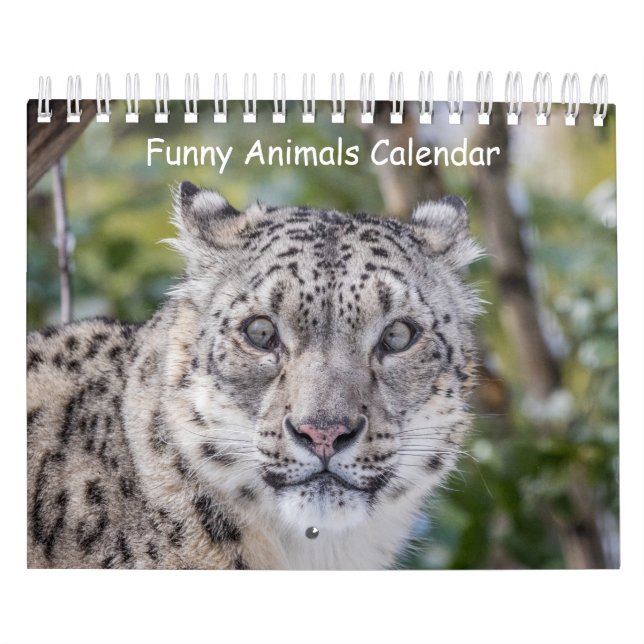 Calendário Engraçado para Animais (Capa)