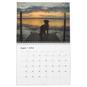 Calendário Equipe Joey Jax 2016