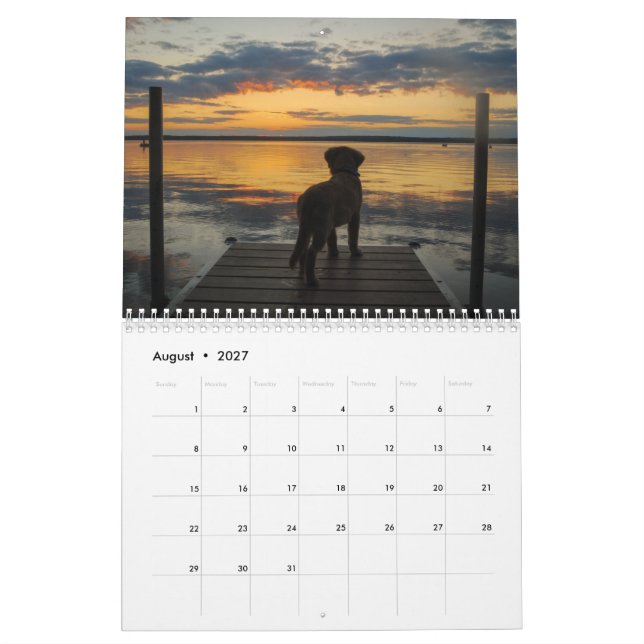Calendário Equipe Joey Jax 2016 (Ago 2027)