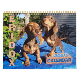 Calendário Eridox Dachshances 2020