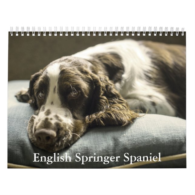 Calendário espanhol do Springer em Inglês (Capa)