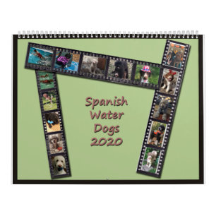 Calendário Espanhol dos Cães de Água 2020