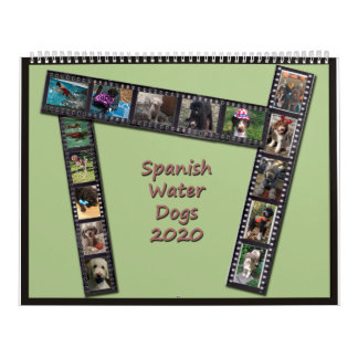 Calendário Espanhol dos Cães de Água 2020